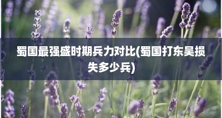 蜀国最强盛时期兵力对比(蜀国打东吴损失多少兵)