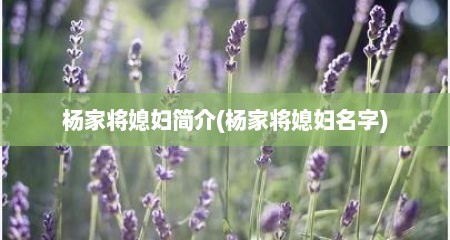 杨家将媳妇简介(杨家将媳妇名字)