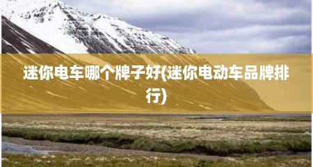 迷你电车哪个牌子好(迷你电动车品牌排行)