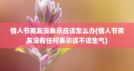 情人节男友没表示应该怎么办(情人节男友没有任何表示该不该生气)