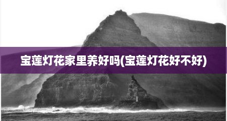 宝莲灯花家里养好吗(宝莲灯花好不好)