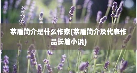 茅盾简介是什么作家(茅盾简介及代表作品长篇小说)