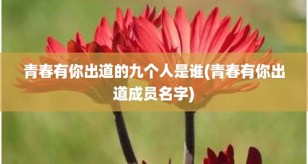 青春有你出道的九个人是谁(青春有你出道成员名字)