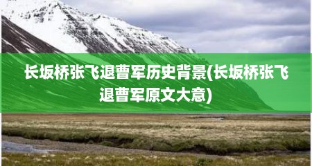 长坂桥张飞退曹军历史背景(长坂桥张飞退曹军原文大意)