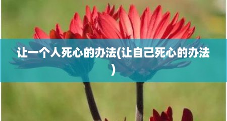 让一个人死心的办法(让自己死心的办法)