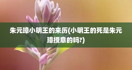朱元璋小明王的来历(小明王的死是朱元璋授意的吗?)