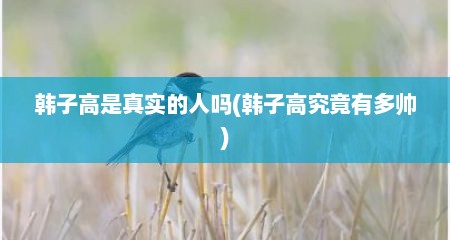韩子高是真实的人吗(韩子高究竟有多帅)