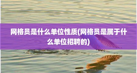 网格员是什么单位性质(网格员是属于什么单位招聘的)