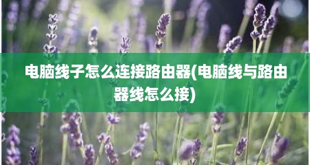 电脑线子怎么连接路由器(电脑线与路由器线怎么接)