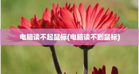 电脑读不起鼠标(电脑读不到鼠标)