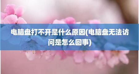 电脑盘打不开是什么原因(电脑盘无法访问是怎么回事)