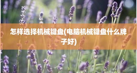 怎样选择机械键盘(电脑机械键盘什么牌子好)