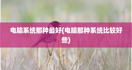 电脑系统那种最好(电脑那种系统比较好些)