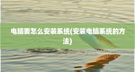 电脑要怎么安装系统(安装电脑系统的方法)