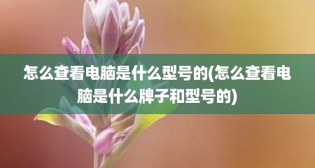 怎么查看电脑是什么型号的(怎么查看电脑是什么牌子和型号的)