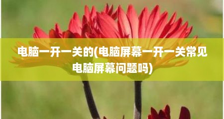 电脑一开一关的(电脑屏幕一开一关常见电脑屏幕问题吗)