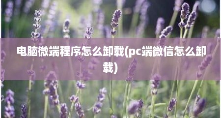 电脑微端程序怎么卸载(pc端微信怎么卸载)