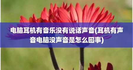 电脑耳机有音乐没有说话声音(耳机有声音电脑没声音是怎么回事)