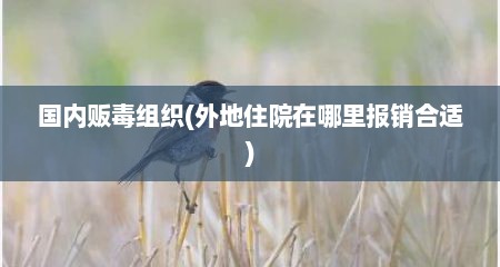 国内贩毒组织(外地住院在哪里报销合适)