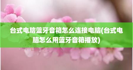 台式电脑蓝牙音箱怎么连接电脑(台式电脑怎么用蓝牙音箱播放)