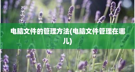 电脑文件的管理方法(电脑文件管理在哪儿)