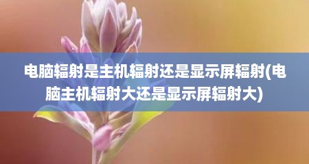 电脑辐射是主机辐射还是显示屏辐射(电脑主机辐射大还是显示屏辐射大)