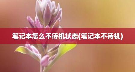 笔记本怎么不待机状态(笔记本不待机)