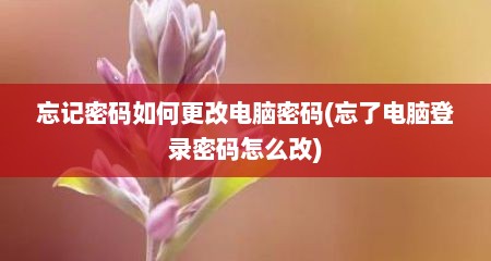 忘记密码如何更改电脑密码(忘了电脑登录密码怎么改)