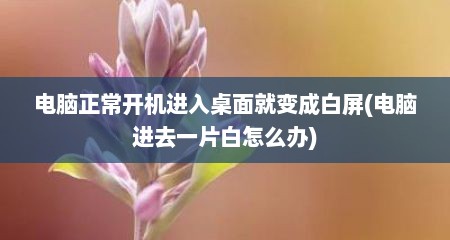 电脑正常开机进入桌面就变成白屏(电脑进去一片白怎么办)