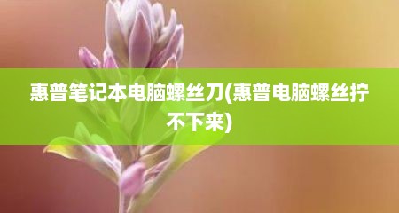 惠普笔记本电脑螺丝刀(惠普电脑螺丝拧不下来)