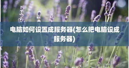 电脑如何设置成服务器(怎么把电脑设成服务器)