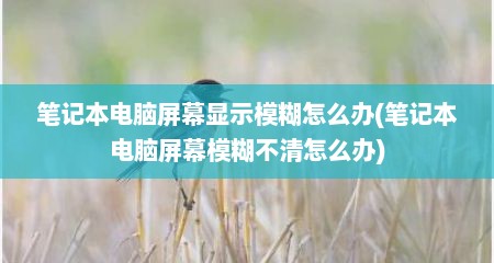 笔记本电脑屏幕显示模糊怎么办(笔记本电脑屏幕模糊不清怎么办)