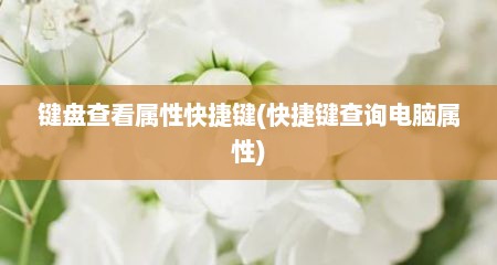 键盘查看属性快捷键(快捷键查询电脑属性)