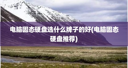电脑固态硬盘选什么牌子的好(电脑固态硬盘推荐)