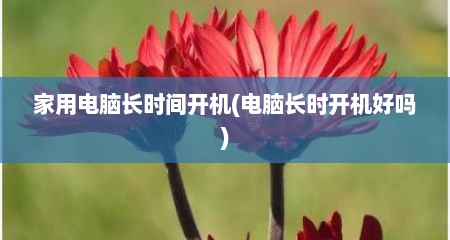 家用电脑长时间开机(电脑长时开机好吗)