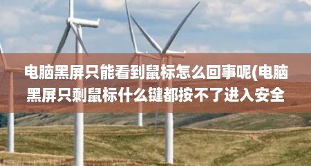 电脑黑屏只能看到鼠标怎么回事呢(电脑黑屏只剩鼠标什么键都按不了进入安全模式)
