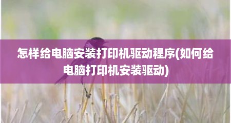 怎样给电脑安装打印机驱动程序(如何给电脑打印机安装驱动)