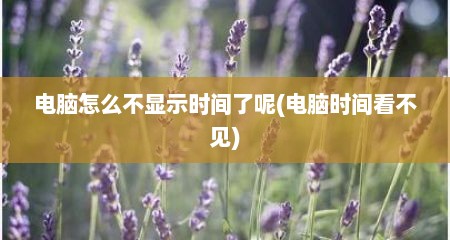 电脑怎么不显示时间了呢(电脑时间看不见)