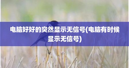 电脑好好的突然显示无信号(电脑有时候显示无信号)