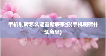 手机刷砖怎么能重新装系统(手机刷砖什么意思)
