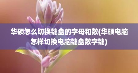 华硕怎么切换键盘的字母和数(华硕电脑怎样切换电脑键盘数字键)