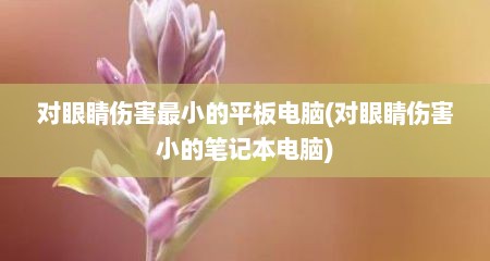 对眼睛伤害最小的平板电脑(对眼睛伤害小的笔记本电脑)