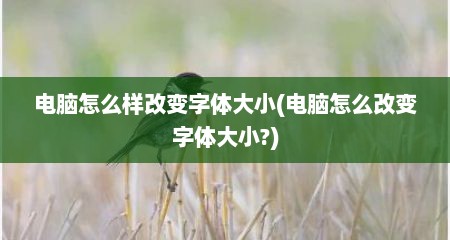 电脑怎么样改变字体大小(电脑怎么改变字体大小?)