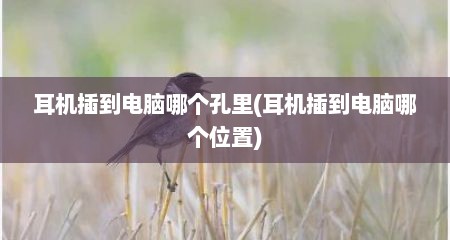 耳机插到电脑哪个孔里(耳机插到电脑哪个位置)