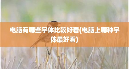 电脑有哪些字体比较好看(电脑上哪种字体最好看)