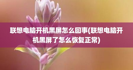 联想电脑开机黑屏怎么回事(联想电脑开机黑屏了怎么恢复正常)