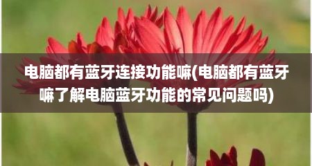 电脑都有蓝牙连接功能嘛(电脑都有蓝牙嘛了解电脑蓝牙功能的常见问题吗)