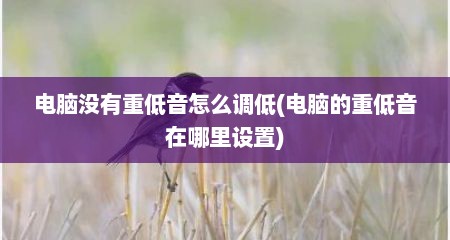 电脑没有重低音怎么调低(电脑的重低音在哪里设置)