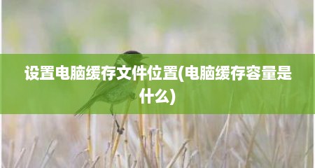 设置电脑缓存文件位置(电脑缓存容量是什么)