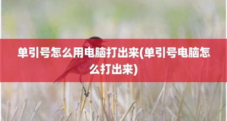 单引号怎么用电脑打出来(单引号电脑怎么打出来)